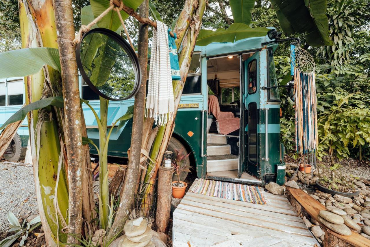 Tribe Boutique - Adults Only Dominical